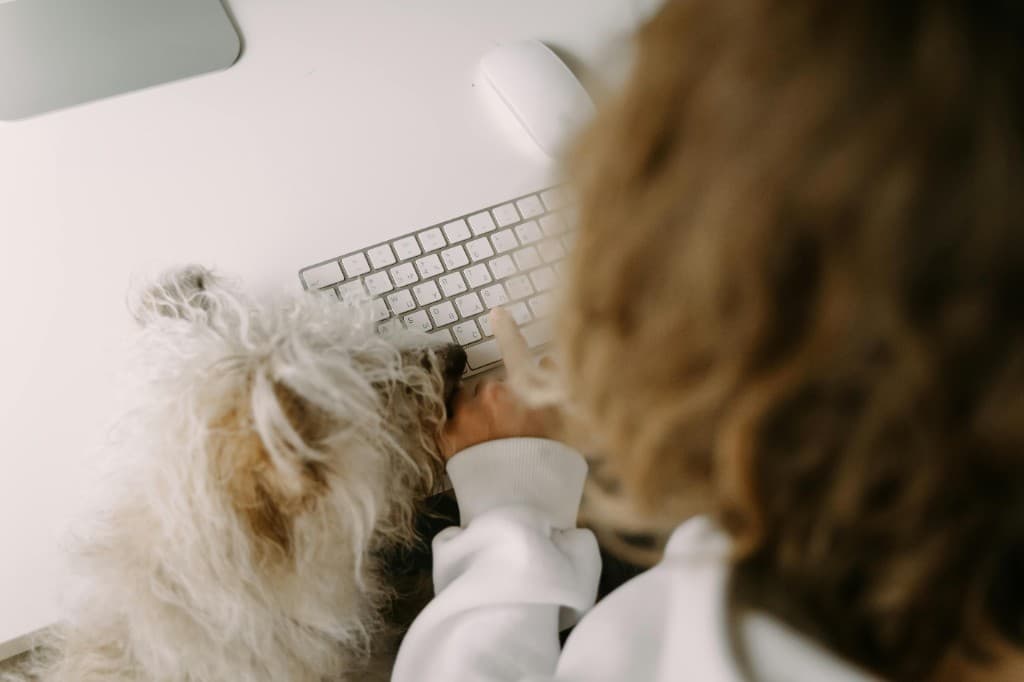 Como Requisitar um Serviço na Dogggo: Marketplace ou Concierge?