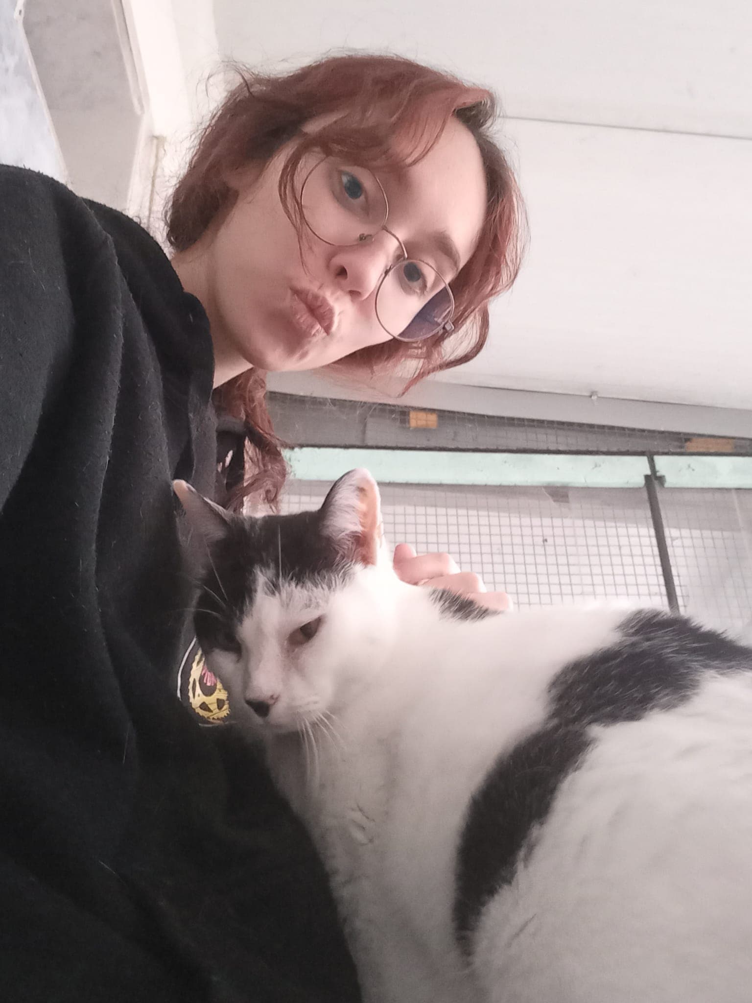 Enfermeira Veterinária & Pet sitting