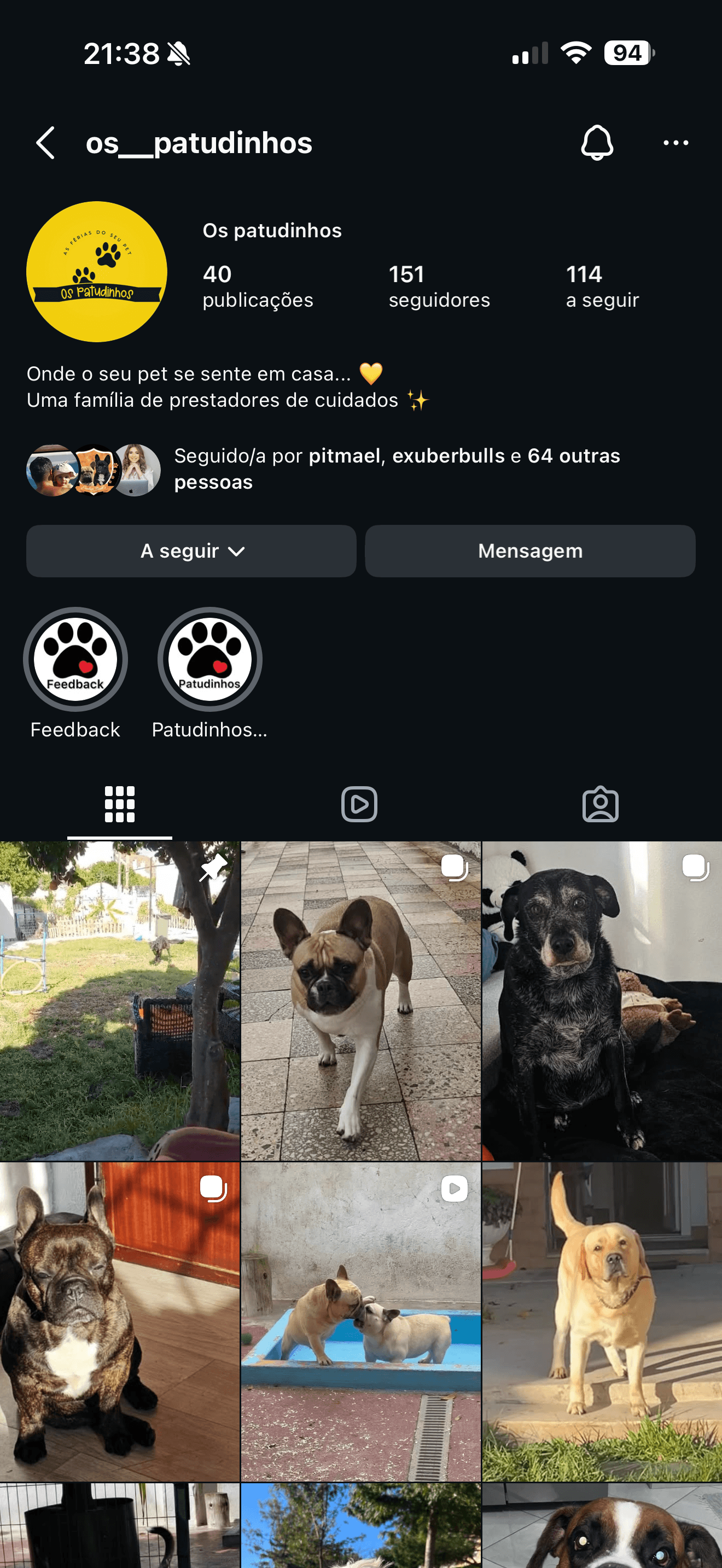 Pet sitting  — 3