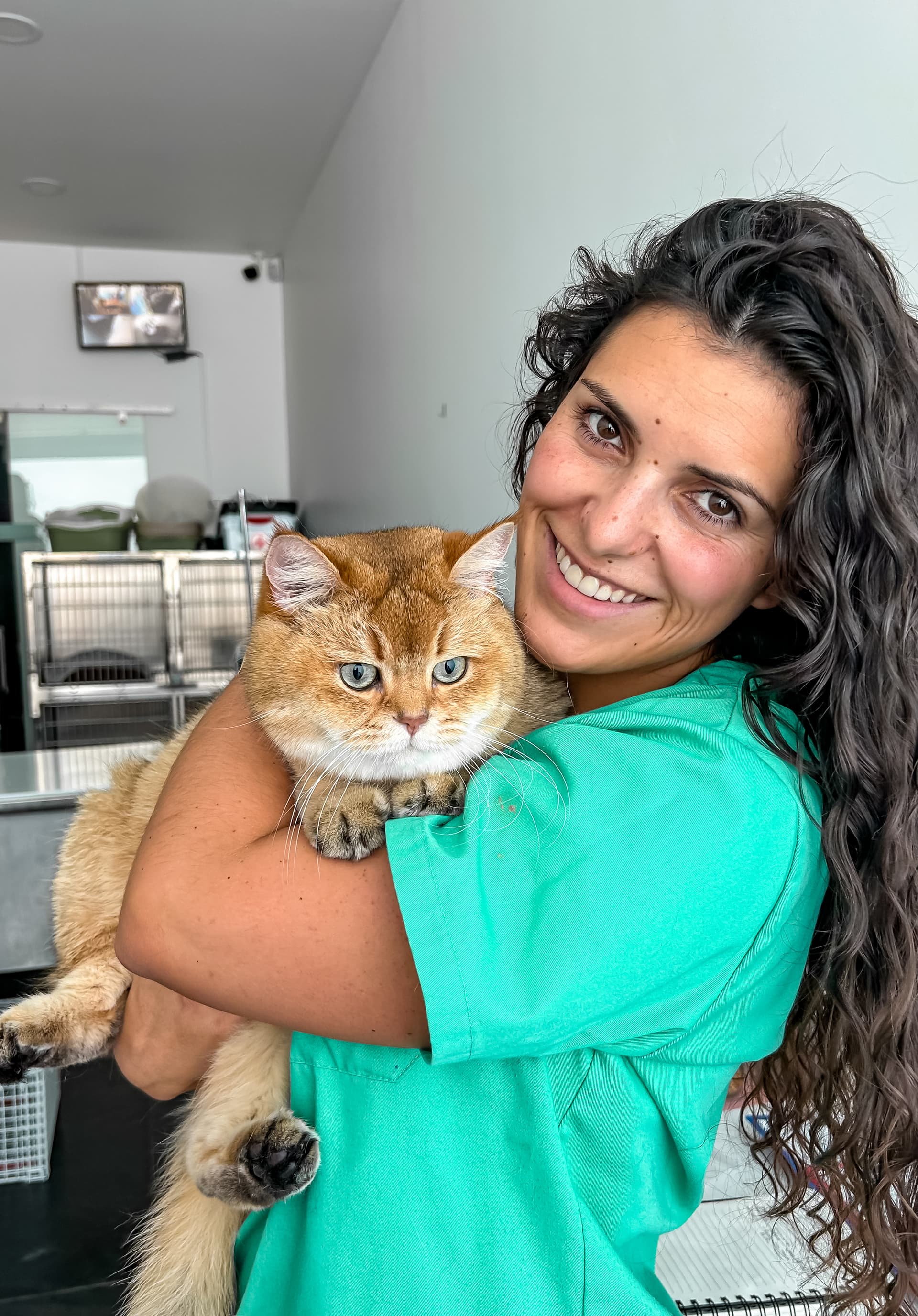 Pet Sitting — 2
