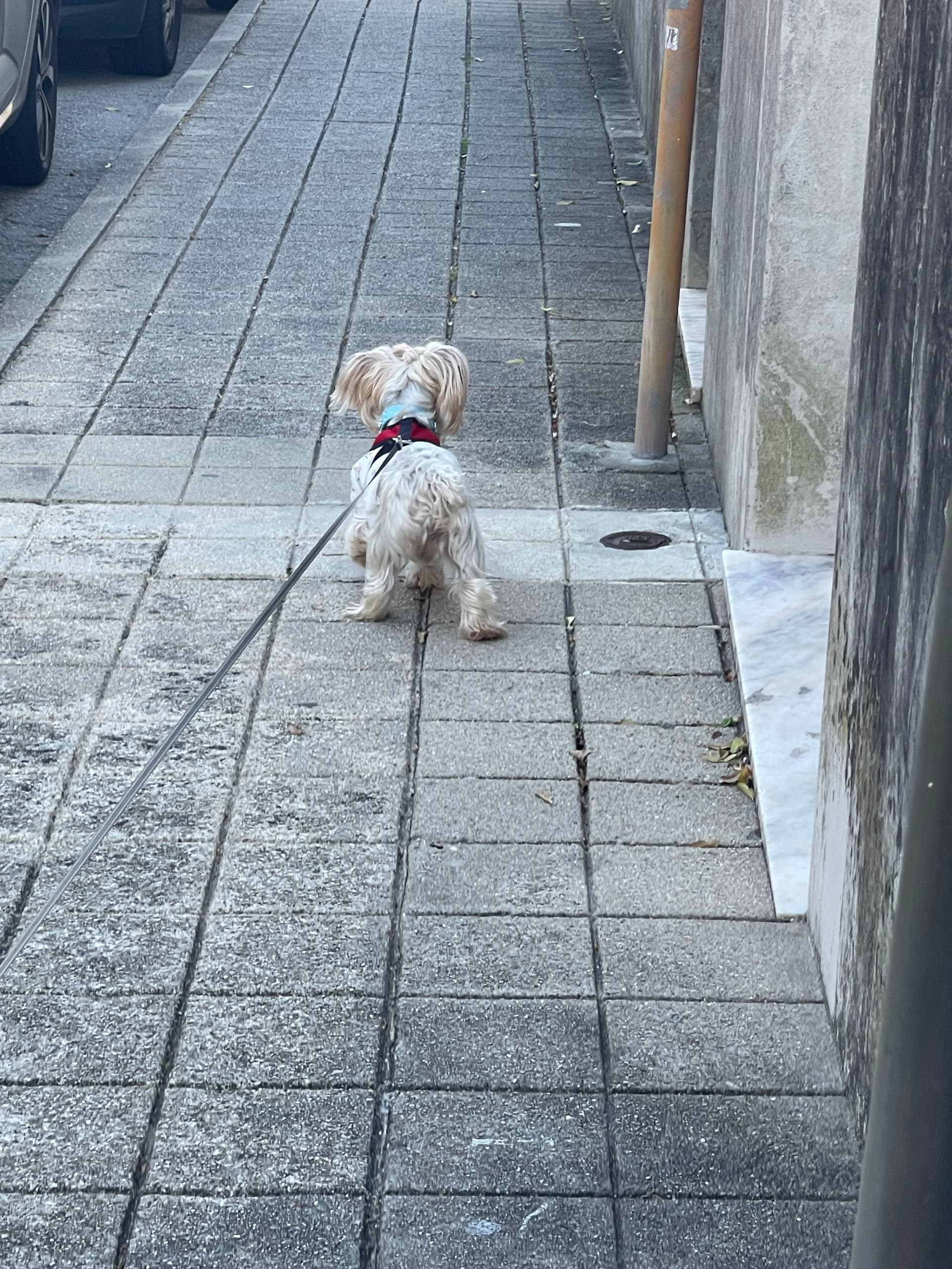 Lady Sitting! — 2