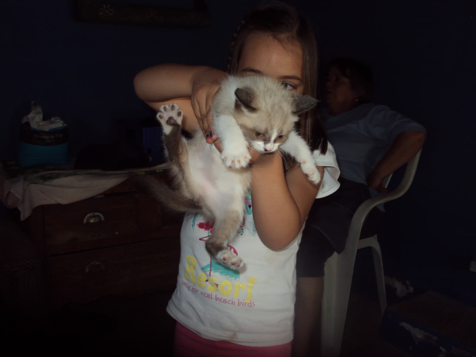 Petsitting by Beatriz - Lisboa e Margem Sul — 2