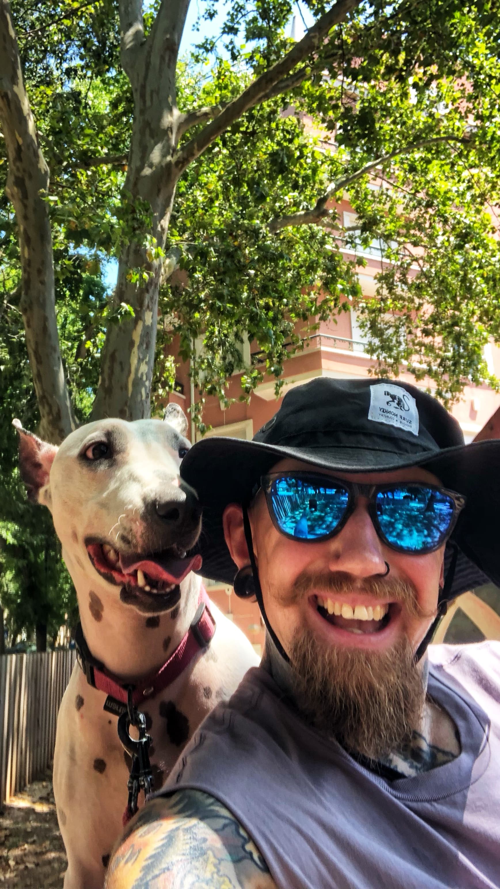 Dog Walking and Pet Sitting in Lisbon — 3