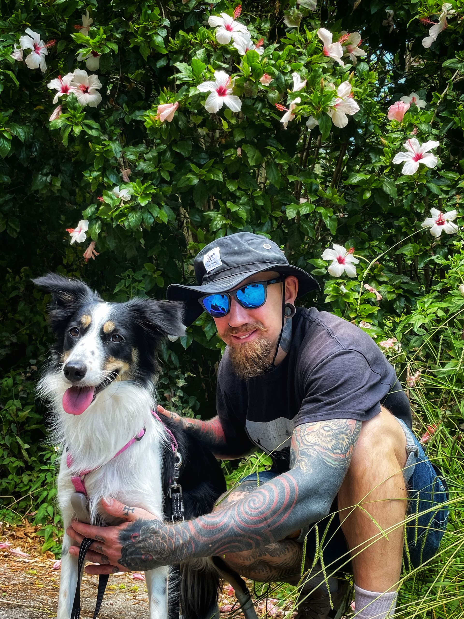 Dog Walking and Pet Sitting in Lisbon — 5