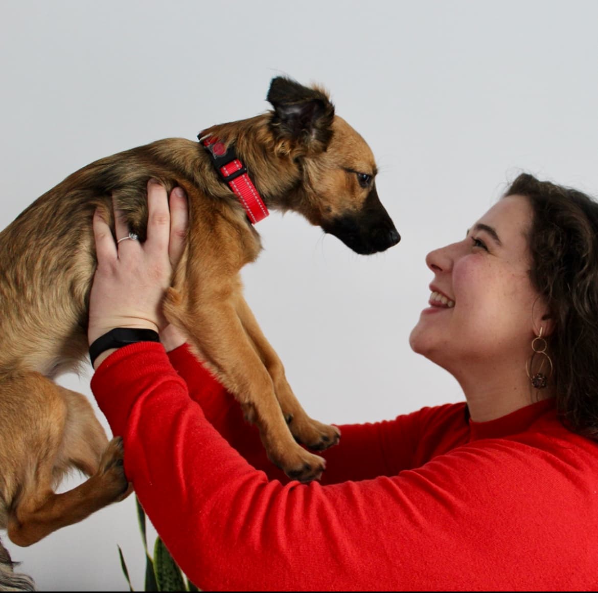 Treino de Cães Pet to Pets Lisboa