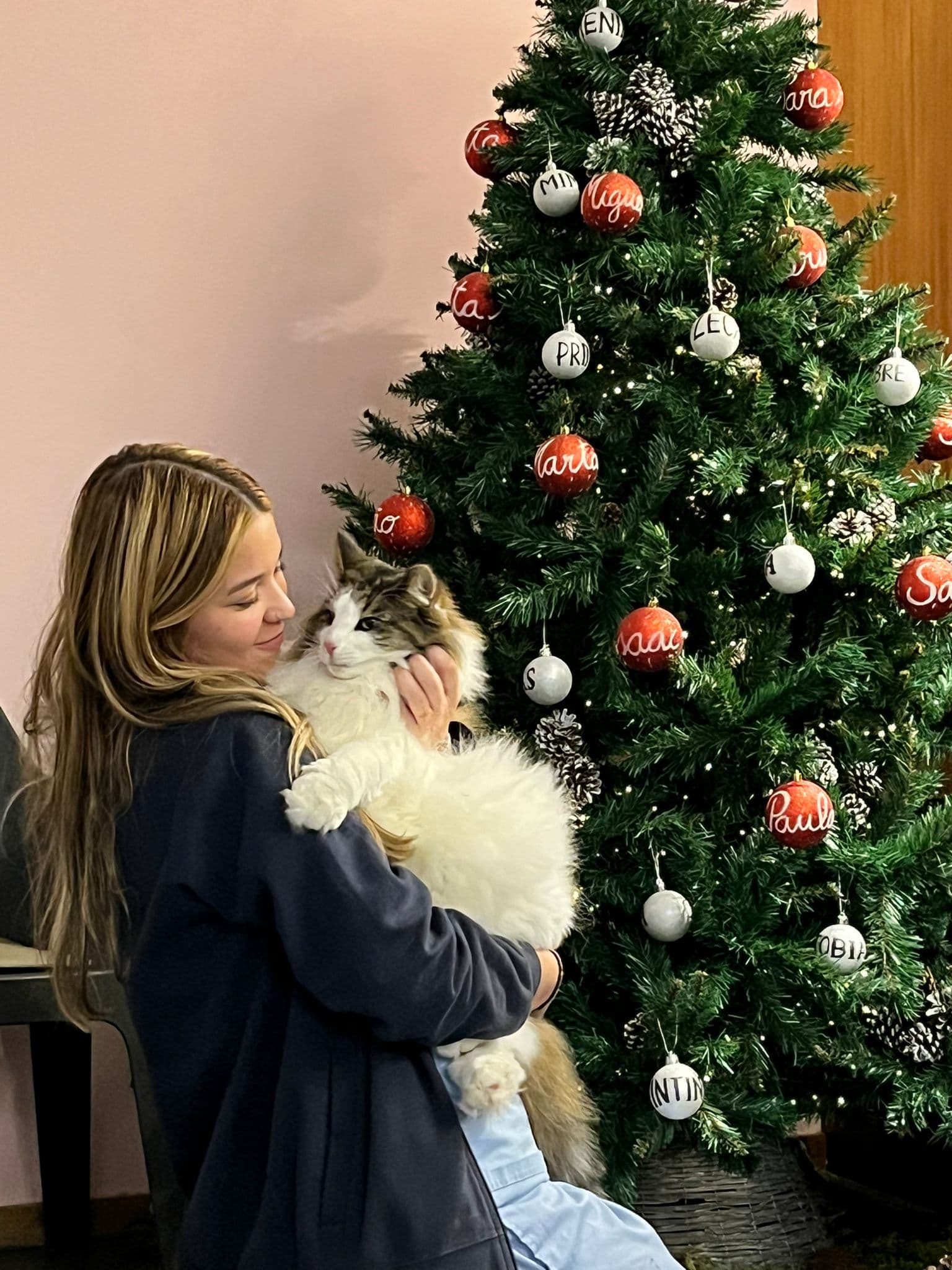 Pet sitting — 1