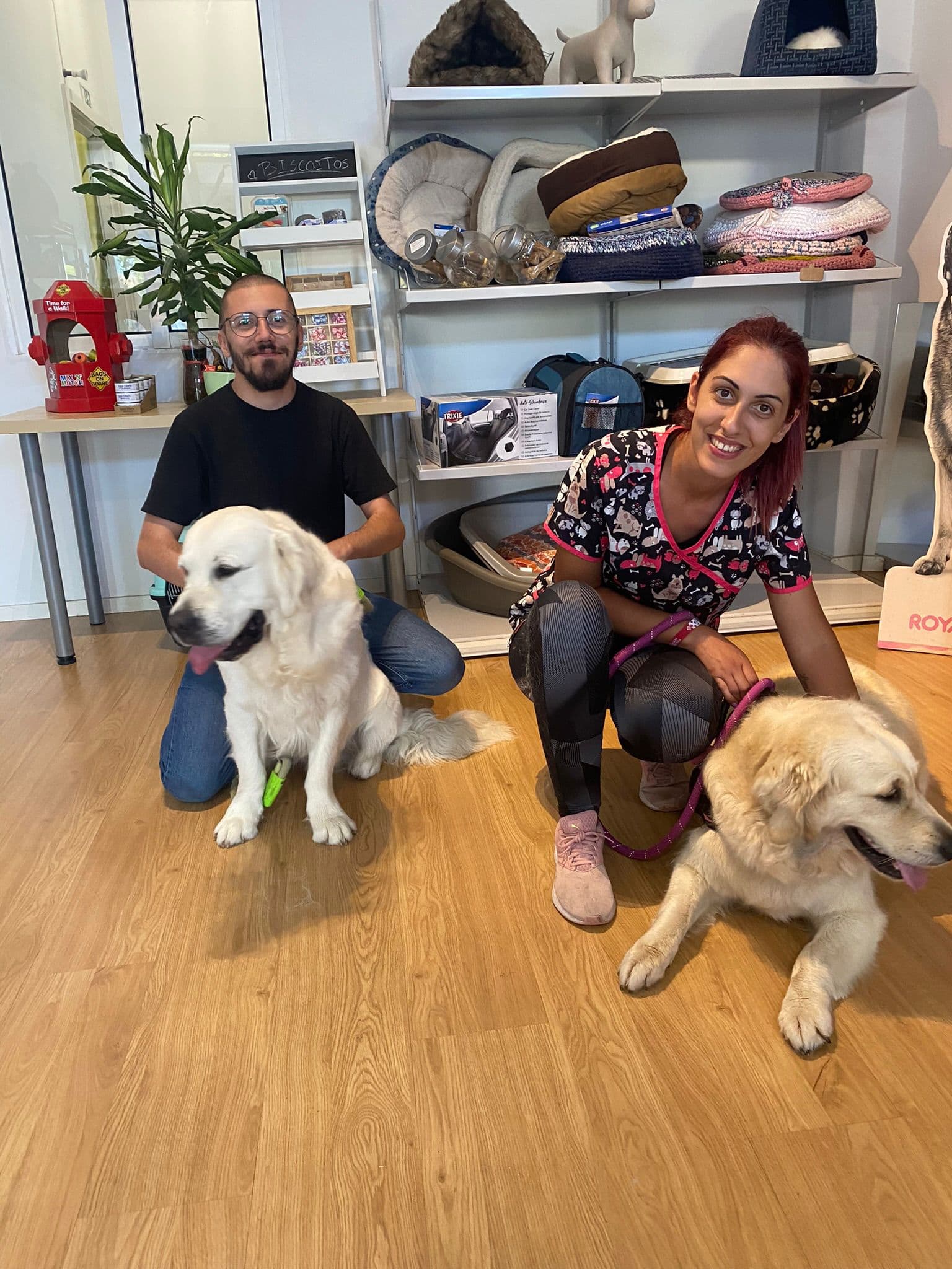 Dog walking, pet sitting, e treinos de obediência básica — 3