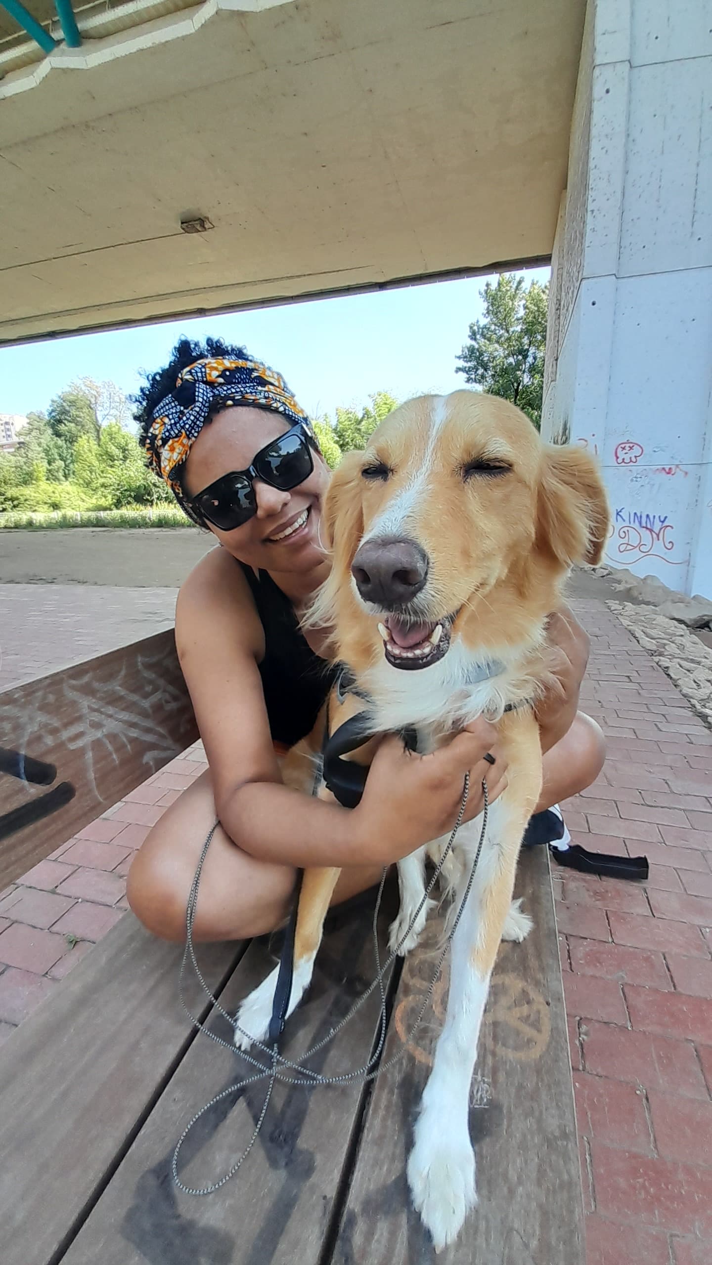 Mi Cuida Pets — 1