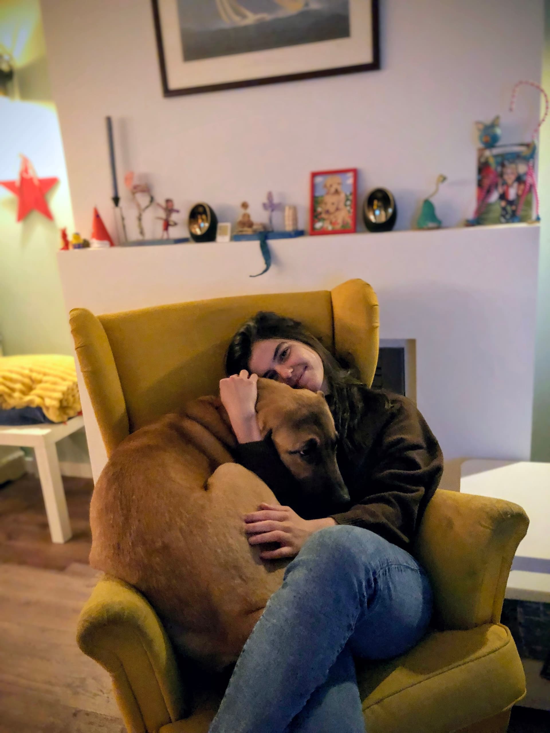 Cuidados de cães e gatos — 1