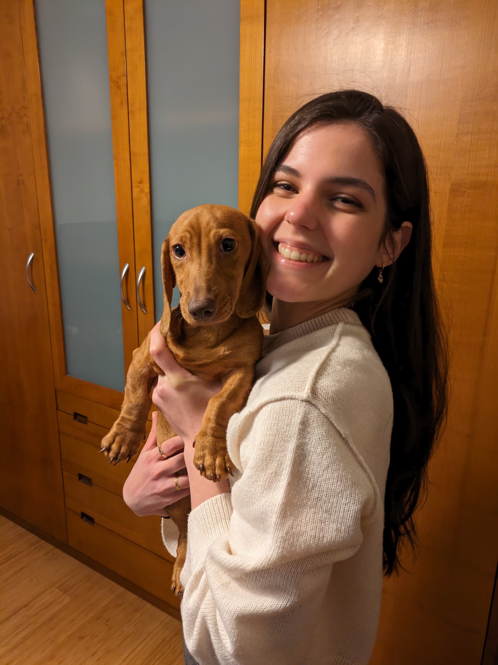 Cuidados de cães e gatos — 2