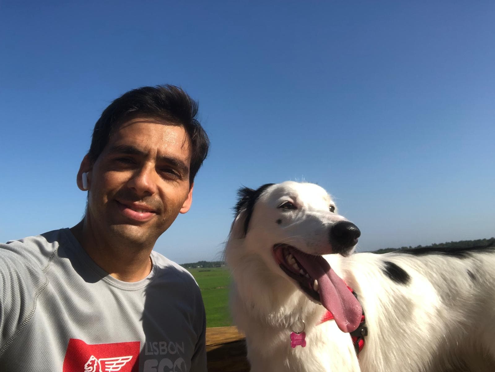 Dog Walking | Pet Sitting | Passear cães | Dogwalker | Almada — 4