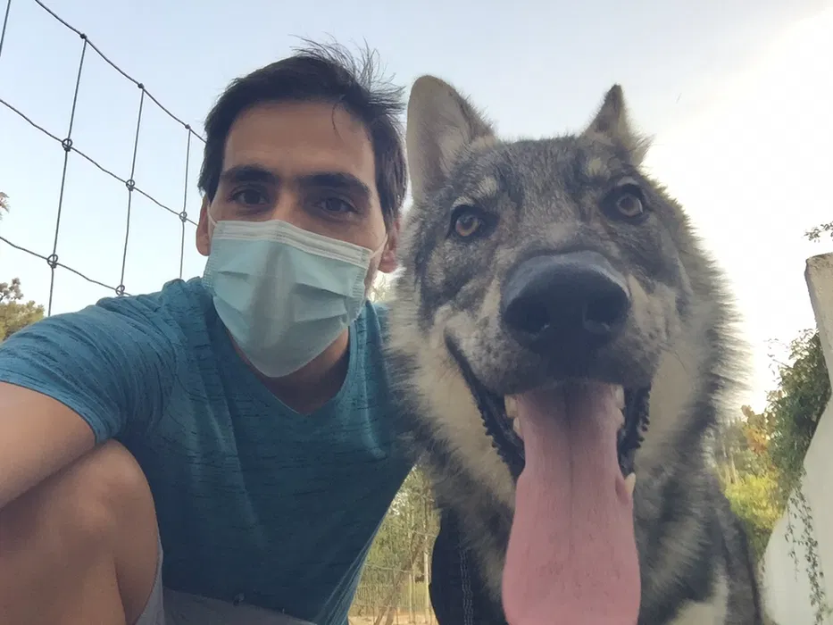 Dog Walking | Pet Sitting | Passear cães | Dogwalker | Almada — 6